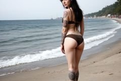 ELNNSNWF.N-LISVTV1G.C